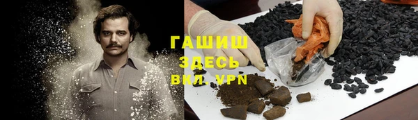 дмт Богданович