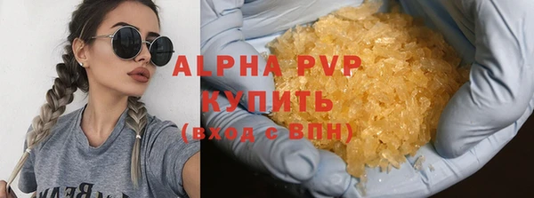 спиды Богородицк