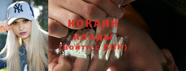 дмт Богданович