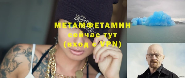 дмт Богданович
