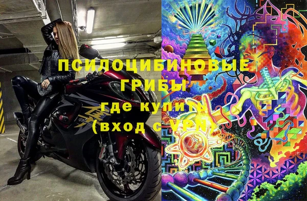 дмт Богданович