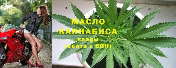спиды Богородицк