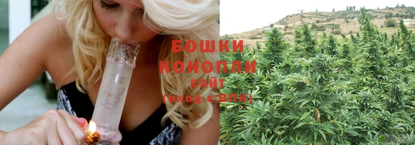 молекула духа Богородск