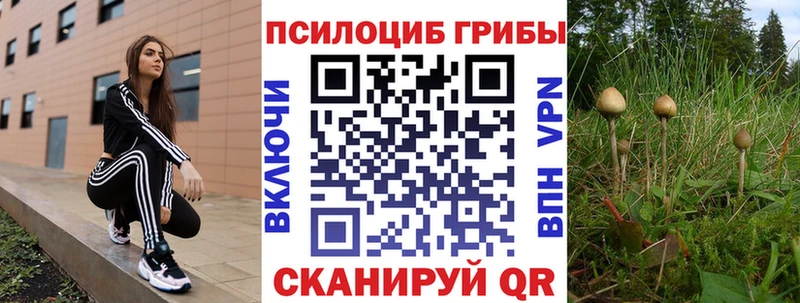 купить наркотики сайты  Тобольск  Галлюциногенные грибы ЛСД 